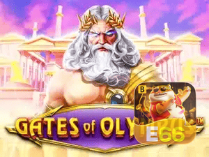 E66 BET APP mobile iOS Android - 187 mil downloads São Paulo Rio BH